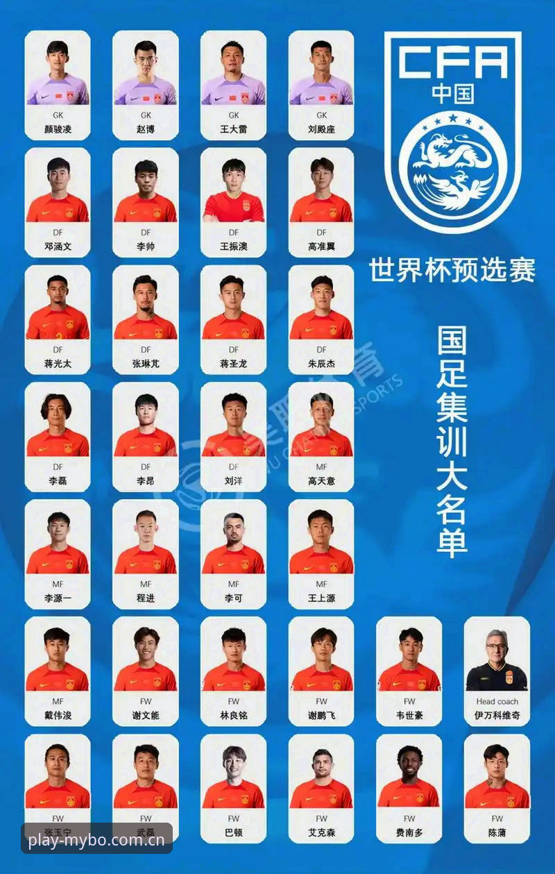 迈博体育体育娱乐安装失败 中国足球禁足名单深度解读:从迈博体育官网看行业自律的必备知识